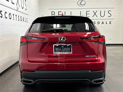 2021 Lexus NX NX 300